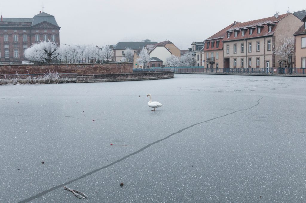 le port de Saverne en hiver
