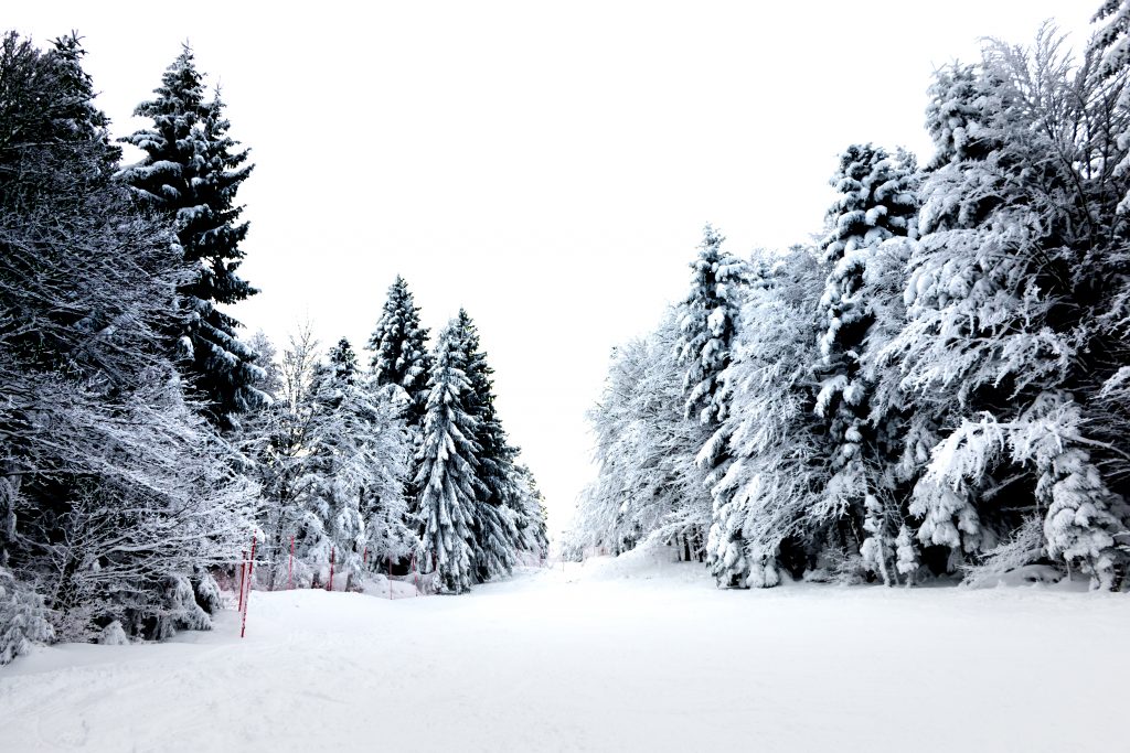 Station de ski Schnepfenried - Blog Voyage & Photos Madame Voyage